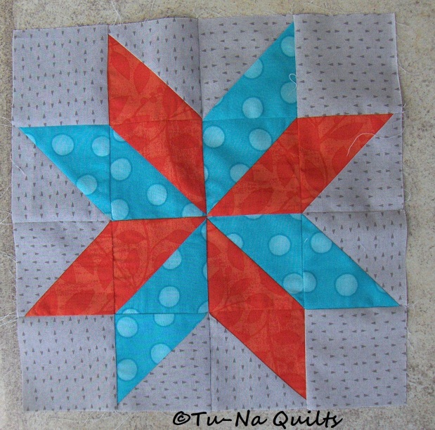 Tu-Na Quilts: A Star for Jen